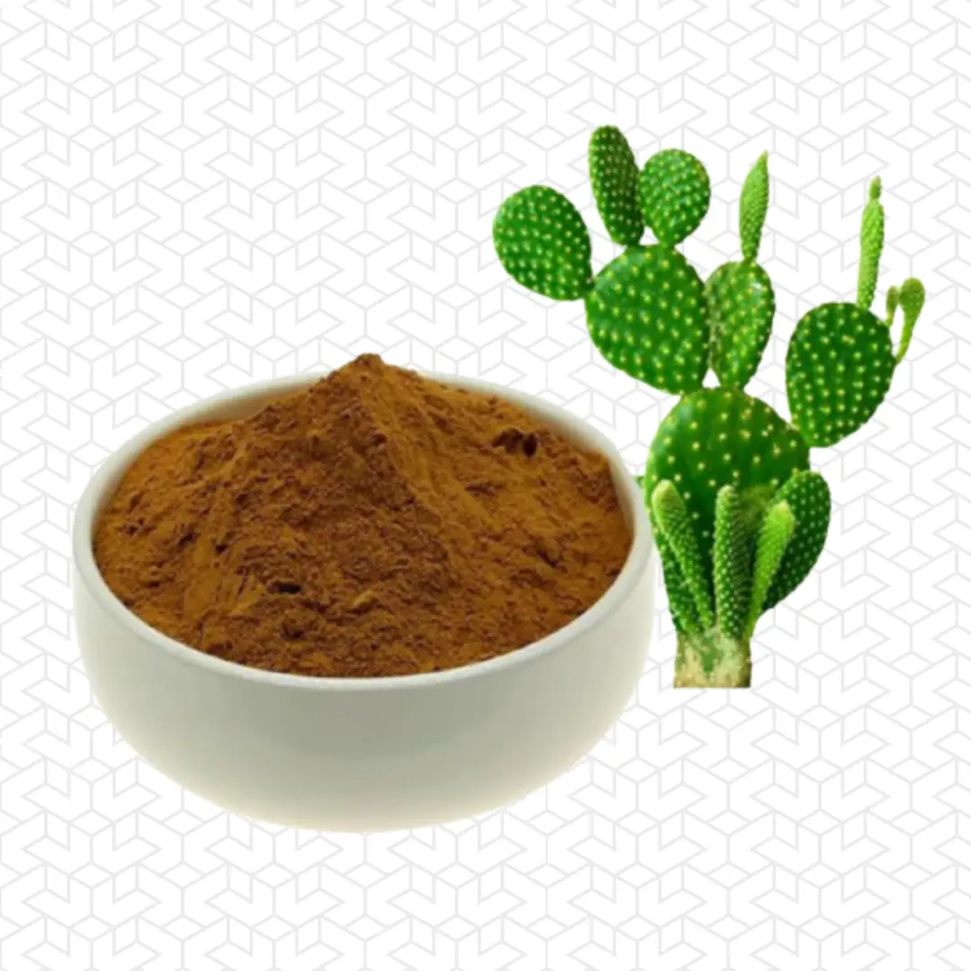 hoodia-Extract-Inchlos.webp